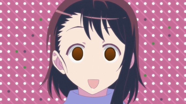ニセコイ：(2期) (17)