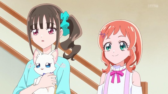 「わんだふるぷりきゅあ!」わんぷり 33話感想 (2)