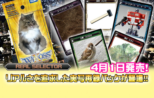 top_slider_img_02