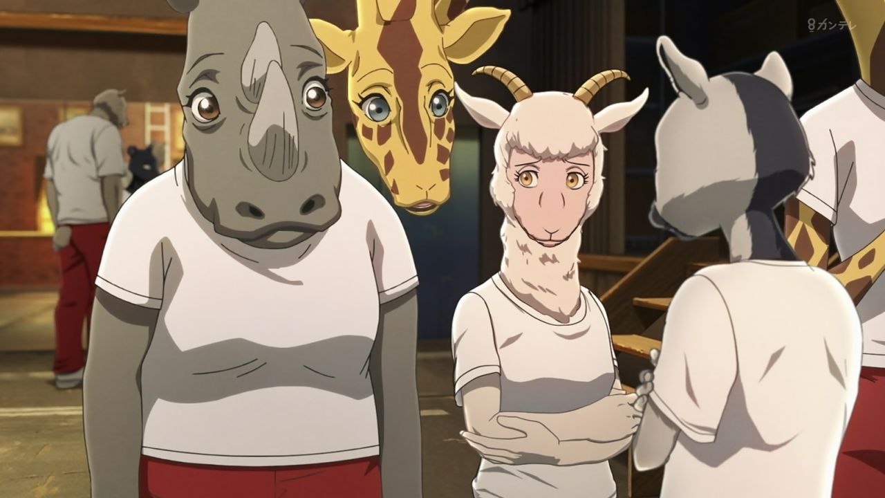 Beastars 1話感想 原作組として楽しめる良い出来 秩序と本能 暴力と理性 並び鬩ぎ合う世界で彼と彼女は出会った 画像 ビースターズ ポンポコにゅーす ファン特化型アニメ感想サイト Beastars 1話感想 原作組として楽しめる良い出来 秩序と本能 暴力と理性 並び鬩ぎ合う世界で彼と彼女は出会った 画像 ビースターズ ポンポコにゅーす ファン特化型アニメ感想サイト