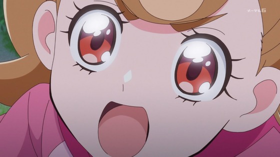 「わんだふるぷりきゅあ!」わんぷり 49話感想 (12)