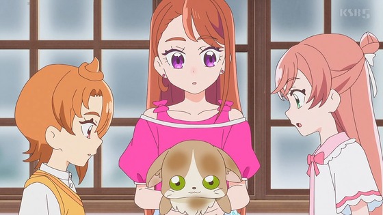 「ひろがるスカイ!プリキュア」ひろプリ 29話感想 (13)