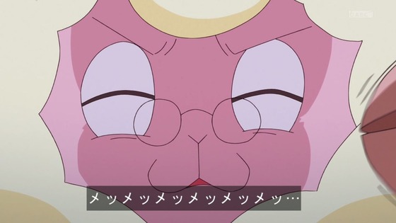 「わんだふるぷりきゅあ!」わんぷり 37話感想 (66)