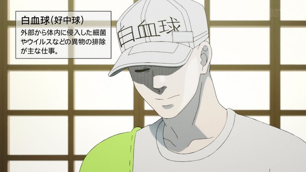 「はたらく細胞」6話感想 (12)
