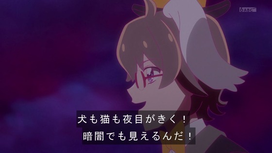 「わんだふるぷりきゅあ!」わんぷり 39話感想 (45)