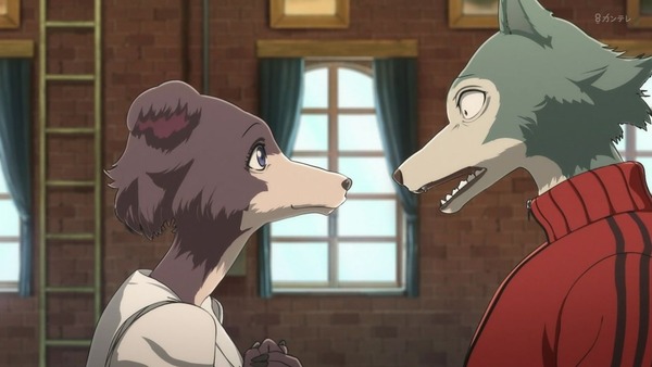 「BEASTARS」7話感想 (36)