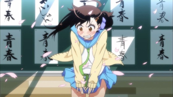 ニセコイ (19)