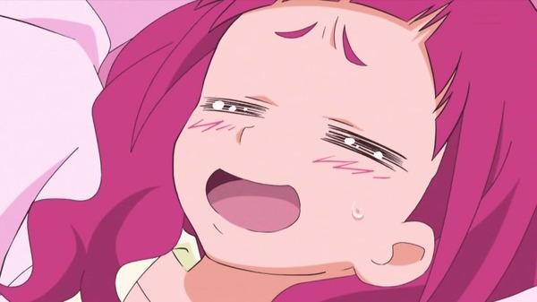 「HUGっと！プリキュア」14話感想 (8)