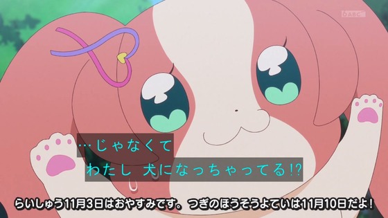 「わんだふるぷりきゅあ！」わんぷり 39話感想 (54)