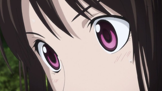 ノラガミ ARAGOTO (34)