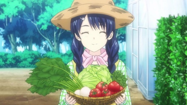 食戟のソーマ (13)
