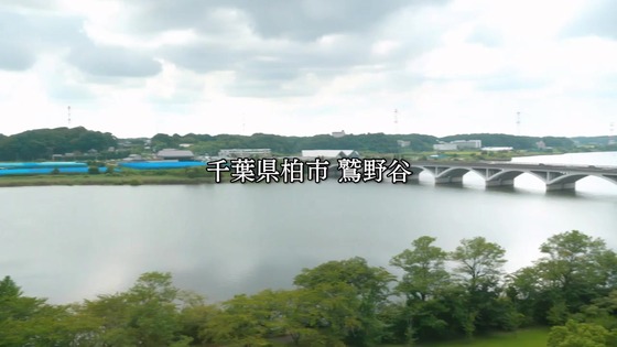「孤独のグルメ Season10」5話感想 (1)