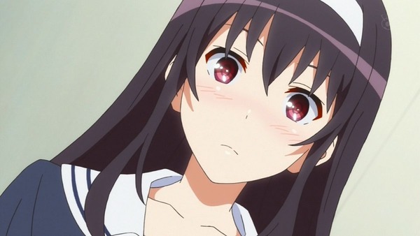 冴えない彼女の育てかた (11)