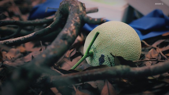 「岸辺露伴は動かない」5話「背中の正面」感想 (110)