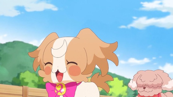 「わんだふるぷりきゅあ!」わんぷり 33話感想 (6)