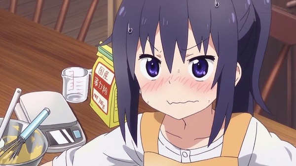 干物妹！うまるちゃん (4)