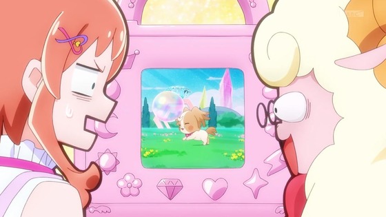 「わんだふるぷりきゅあ！」わんぷり 19話感想 (28)