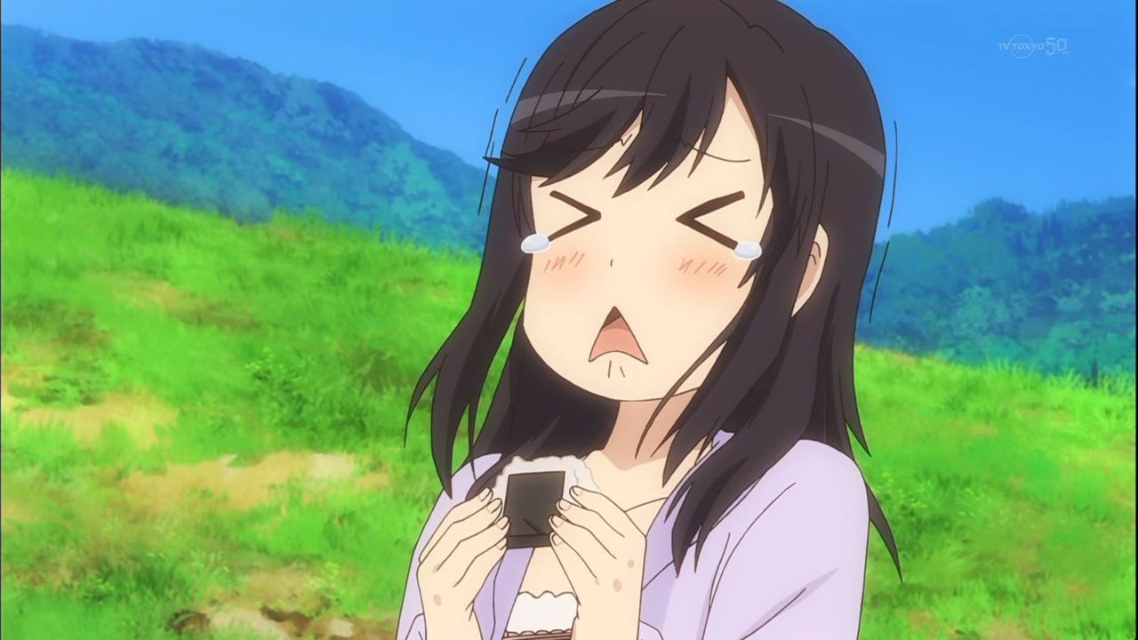 のんのんびより 第12話感想 終わってしまった 素晴らしい作品だった 修正 ポンポコにゅーす ファン特化型アニメ感想サイト