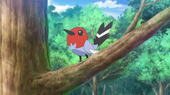 「ポケットモンスター」11話感想 (9)
