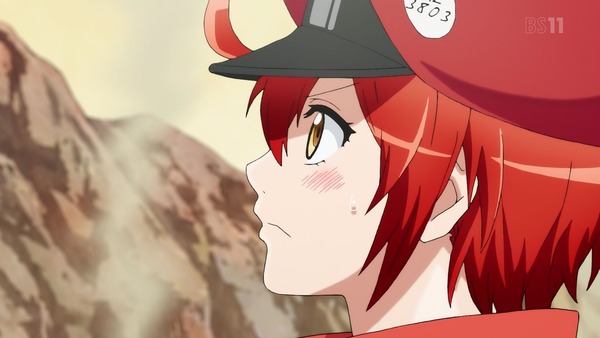 「はたらく細胞」8話感想 (18)