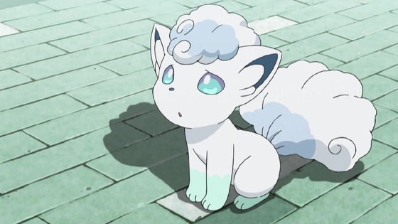「ポケットモンスター サン&ムーン」 (29)