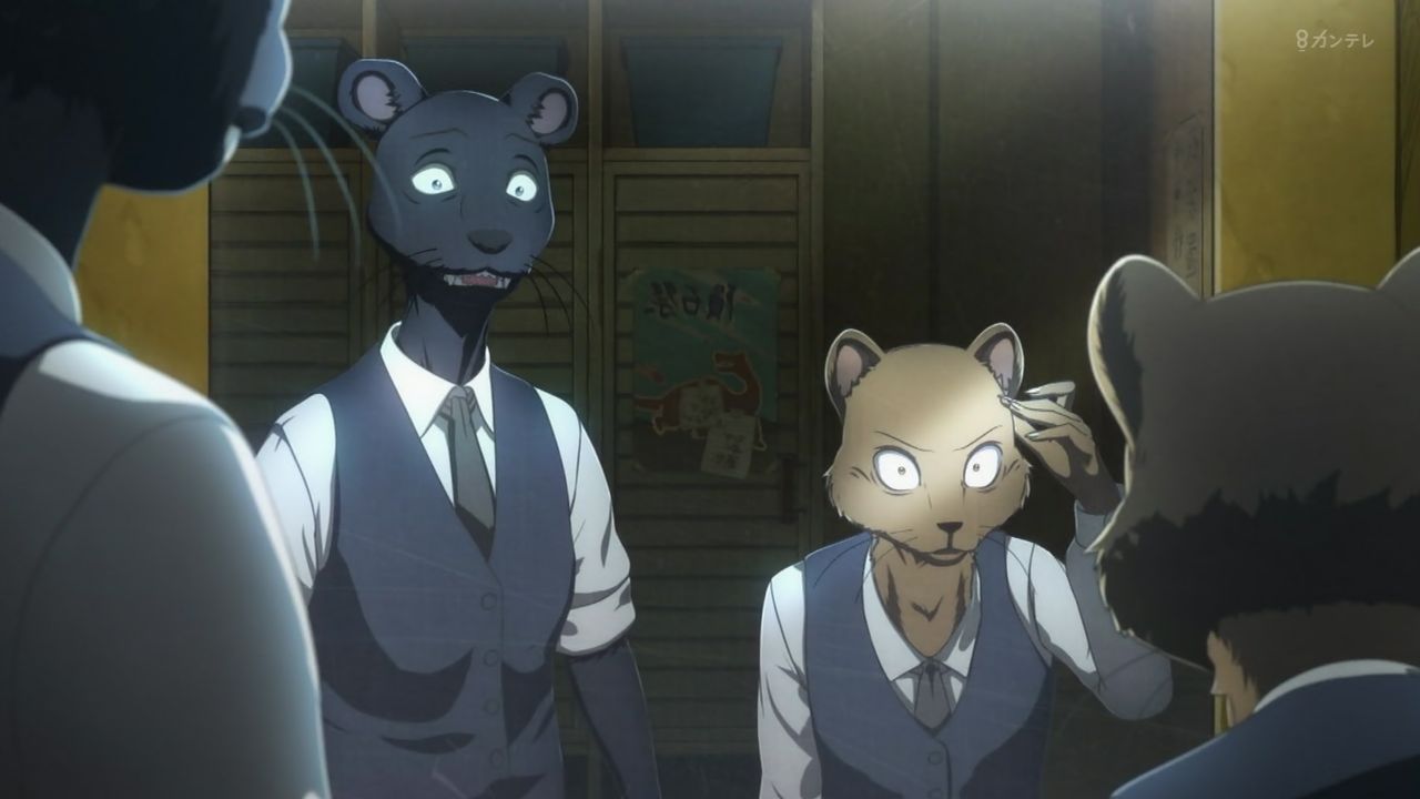 Beastars 1話感想 原作組として楽しめる良い出来 秩序と本能 暴力と理性 並び鬩ぎ合う世界で彼と彼女は出会った 画像 ビースターズ ポンポコにゅーす ファン特化型アニメ感想サイト Beastars 1話感想 原作組として楽しめる良い出来 秩序と本能 暴力と理性 並び鬩ぎ合う世界で彼と彼女は出会った 画像 ビースターズ ポンポコにゅーす ファン特化型アニメ感想サイト
