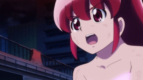 プリキュア (25)
