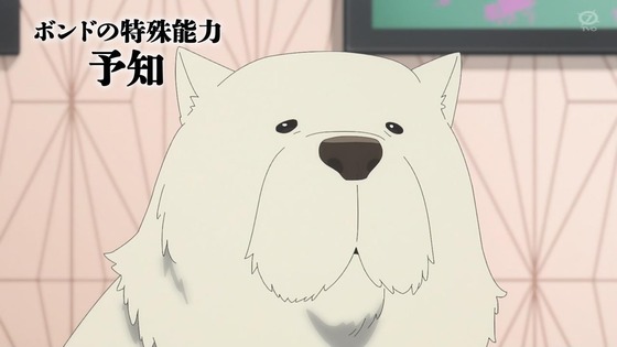 「SPY×FAMILY」2期 27話感想 (3)