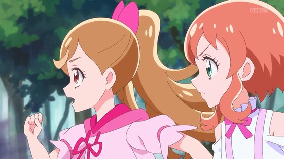 「わんだふるぷりきゅあ!」わんぷり 6話感想 (38)