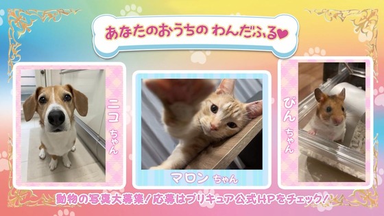 「わんだふるぷりきゅあ!」わんぷり 42話感想 (63)