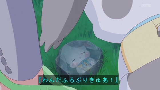 「わんだふるぷりきゅあ！」わんぷり 48話感想 (93)