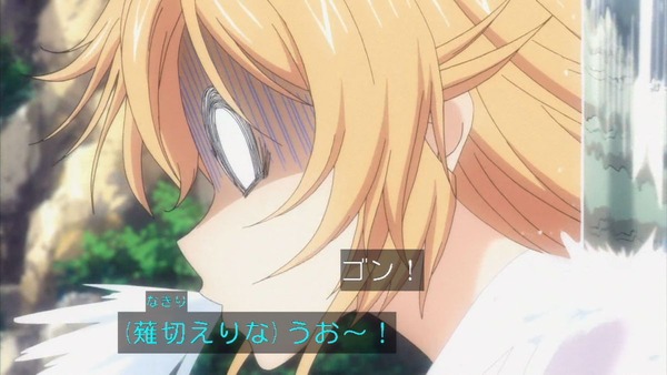 食戟のソーマ (48)