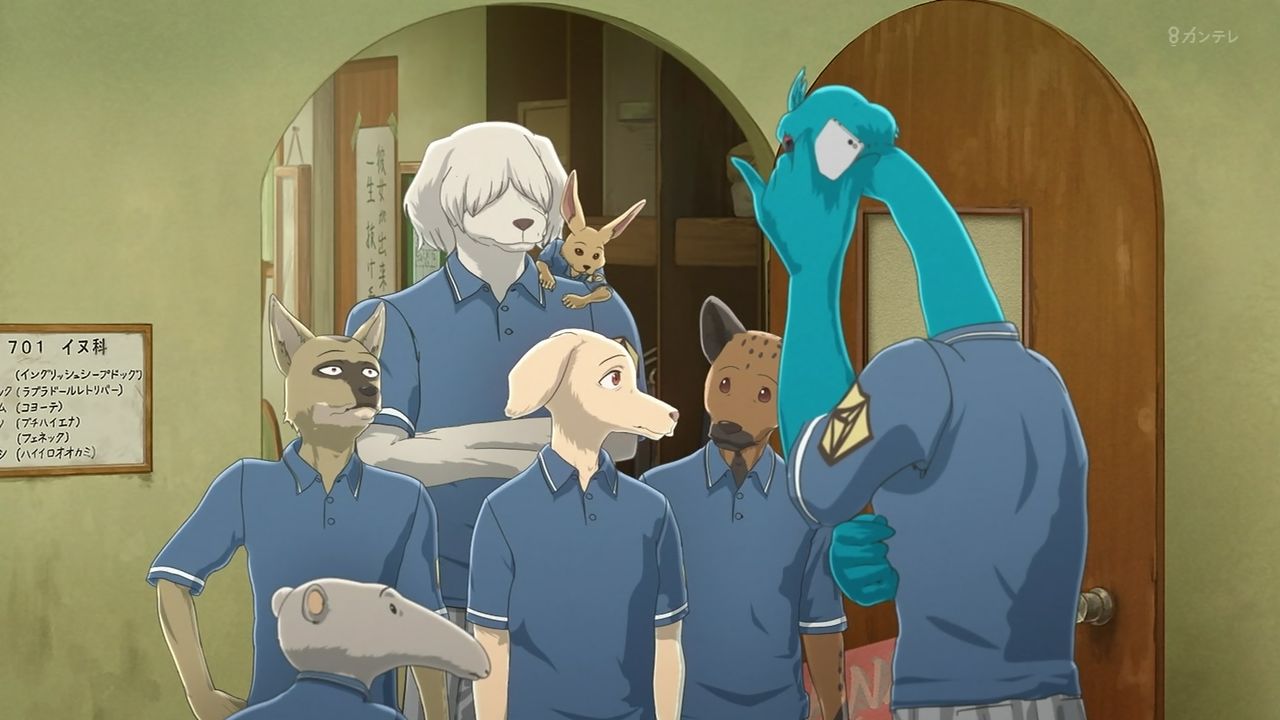 Beastars ビースターズ 第11話 感想 画像 君のための爪 君のための牙だ 俺は君の獣になる ゆきゆきて 夏のネオン街 実況まとめ ポンポコにゅーす ファン特化型アニメ感想サイト Beastars ビースターズ 第11話 感想 画像 君のための爪 君のための牙だ 俺は君の獣になる ゆきゆきて 夏のネオン街 実況まとめ ポンポコにゅーす ファン特化型アニメ感想サイト