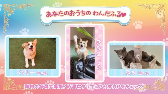 「わんだふるぷりきゅあ！」わんぷり 7話感想 (70)