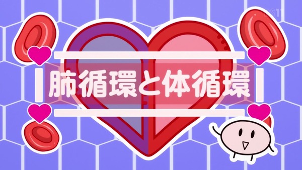 「はたらく細胞」8話感想 (17)