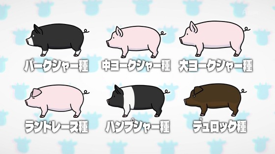 「百姓貴族」38話感想 (10)