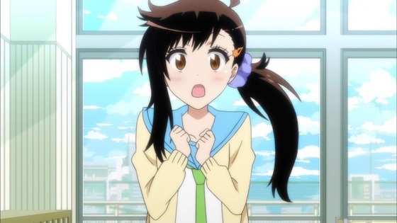ニセコイ (9)