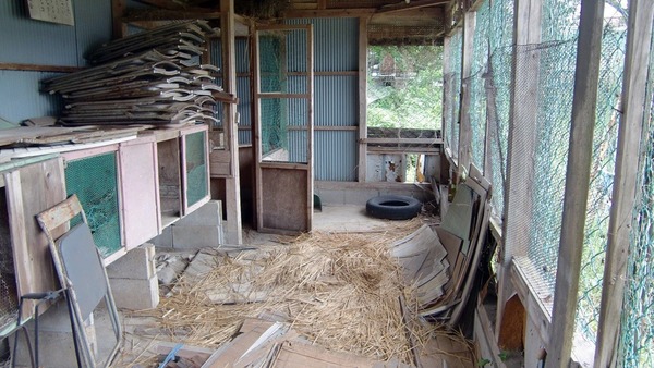 大洗に行ってきたから劇場版と交互に写真貼っていく (121)