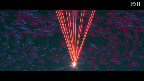 「Fatestrange Fake」9話感想 (115)