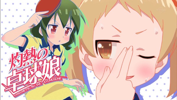「灼熱の卓球娘」 (30)