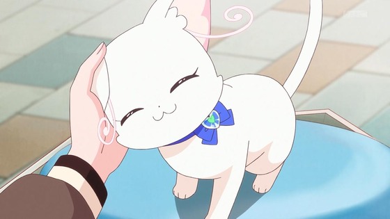 「わんだふるぷりきゅあ!」わんぷり 50話感想 (49)