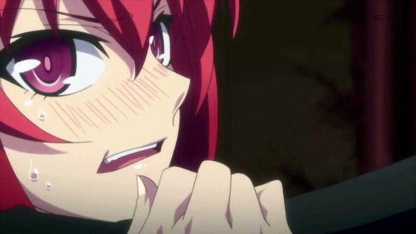 新妹魔王の契約者 (15)