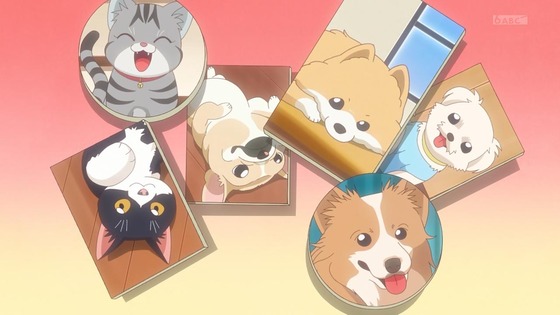 「わんだふるぷりきゅあ！」わんぷり 47話感想 (6)