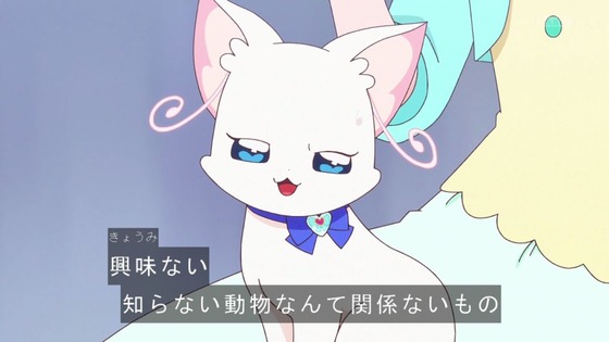 「わんだふるぷりきゅあ！」わんぷり 19話感想 (67)