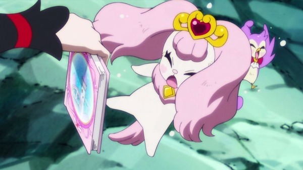 プリンセスプリキュア (66)