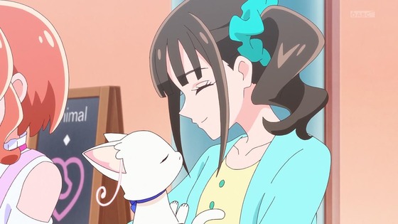 「わんだふるぷりきゅあ!」わんぷり 33話感想 (56)
