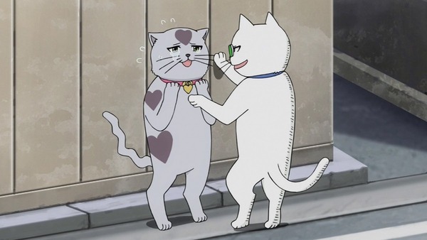 「斉木楠雄のΨ難」 (14)