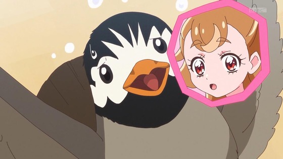 「わんだふるぷりきゅあ!」わんぷり 16話感想 (2)