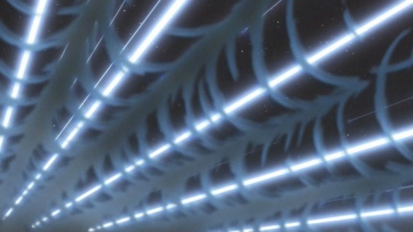 「うしおととら」35話感想 (68)