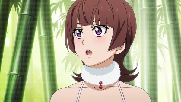 アクティヴレイド (12)